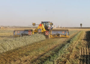 ROC RT 810 (7)