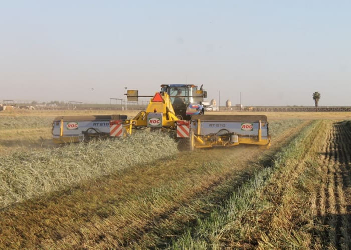 ROC RT 810 (7)